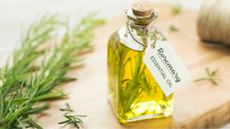 Rosemary Essential oil