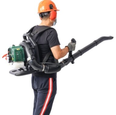 Leaf blower