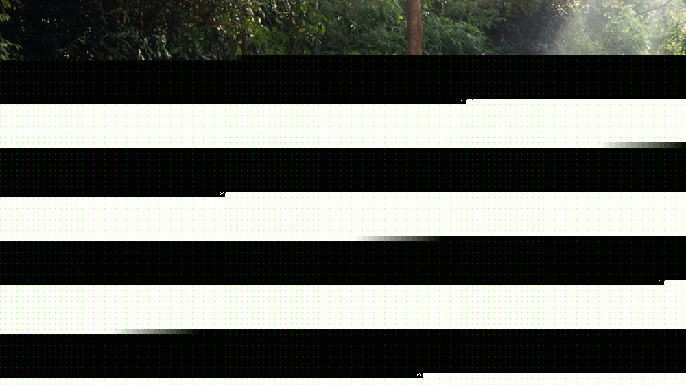 26 Inch Mountain Bike for Adults & Teens – Shimano 21-Speed MTB with Dual Disc Brakes, Full Suspension, High-Carbon Steel Frame – Durable Off-Road Bicycle for Men & Women - Image 7